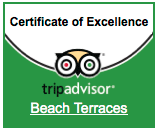 tripadvisor certificate